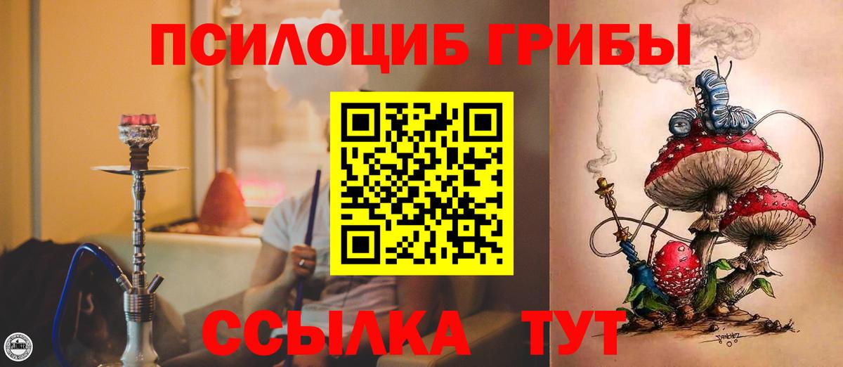 Псилоцибиновые грибы прущие грибы  Вход с VPN  купить наркоту  Усть-Илимск 